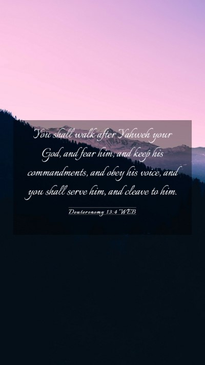 Picture 03 - Deuteronomy 13:4 WEB Mobile Phone Wallpaper - You shall walk after Yahweh your God, and fear - Mobile Bible Verse Wallpaper