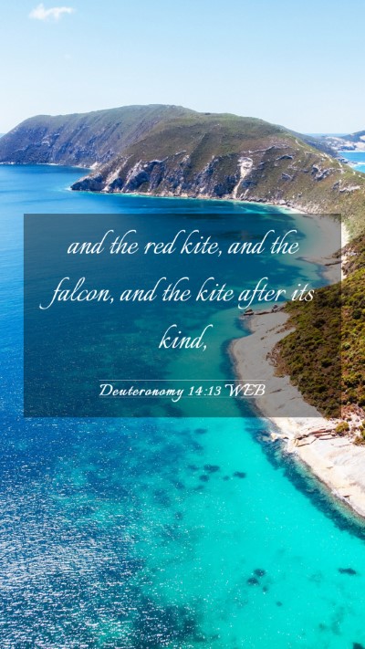 Picture 03 - Deuteronomy 14:13 WEB Mobile Phone Wallpaper - and the red kite, and the falcon, and the kite - Mobile Bible Verse Wallpaper