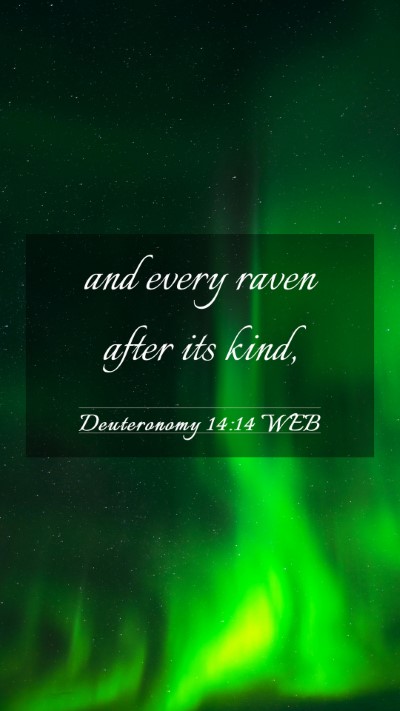 Picture 03 - Deuteronomy 14:14 WEB Mobile Phone Wallpaper - and every raven after its - Mobile Bible Verse Wallpaper