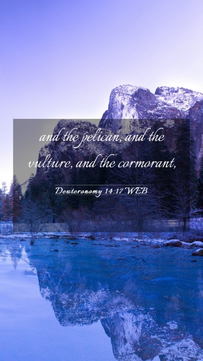 Picture 03 - Deuteronomy 14:17 WEB Mobile Phone Wallpaper - and the pelican, and the vulture, and the - Mobile Bible Verse Wallpaper
