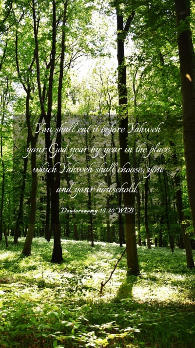 Picture 03 - Deuteronomy 15:20 WEB Mobile Phone Wallpaper - You shall eat it before Yahweh your God year by - Mobile Bible Verse Wallpaper