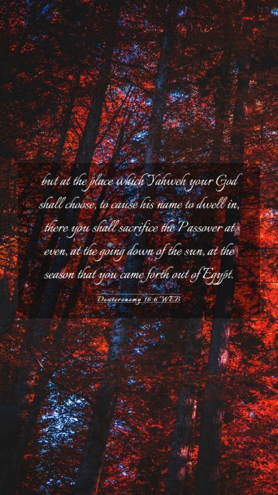Picture 03 - Deuteronomy 16:6 WEB Mobile Phone Wallpaper - but at the place which Yahweh your God shall - Mobile Bible Verse Wallpaper