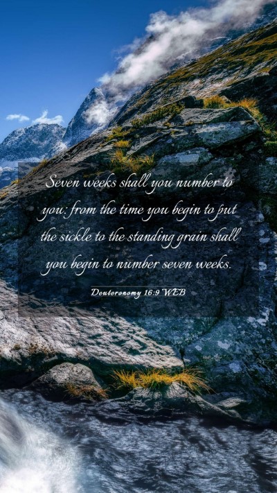 Picture 03 - Deuteronomy 16:9 WEB Mobile Phone Wallpaper - Seven weeks shall you number to you: from the - Mobile Bible Verse Wallpaper