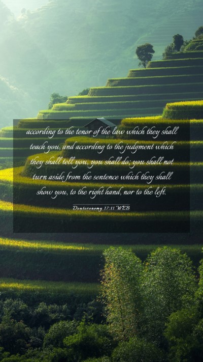 Picture 03 - Deuteronomy 17:11 WEB Mobile Phone Wallpaper - according to the tenor of the law which they - Mobile Bible Verse Wallpaper