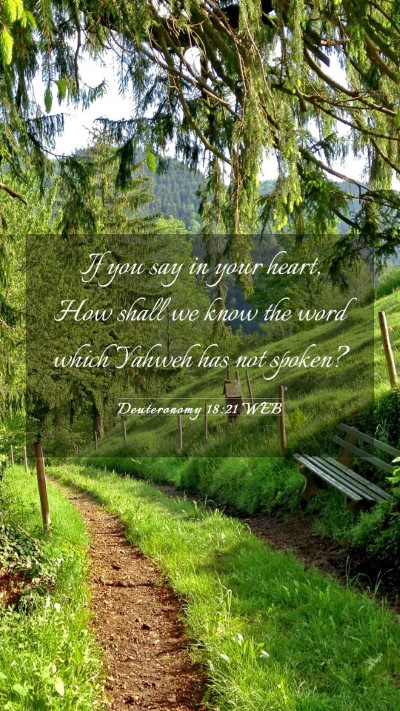 Picture 03 - Deuteronomy 18:21 WEB Mobile Phone Wallpaper - If you say in your heart, How shall we know the - Mobile Bible Verse Wallpaper