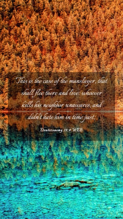 Picture 03 - Deuteronomy 19:4 WEB Mobile Phone Wallpaper - This is the case of the manslayer, that shall - Mobile Bible Verse Wallpaper