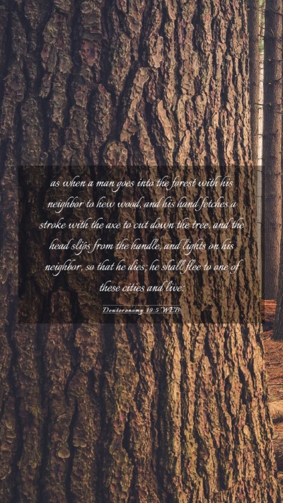 Picture 03 - Deuteronomy 19:5 WEB Mobile Phone Wallpaper - as when a man goes into the forest with his - Mobile Bible Verse Wallpaper
