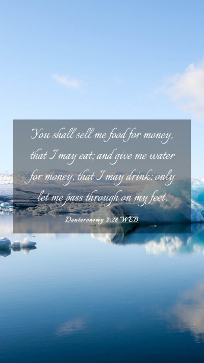 Picture 03 - Deuteronomy 2:28 WEB Mobile Phone Wallpaper - You shall sell me food for money, that I may eat; - Mobile Bible Verse Wallpaper