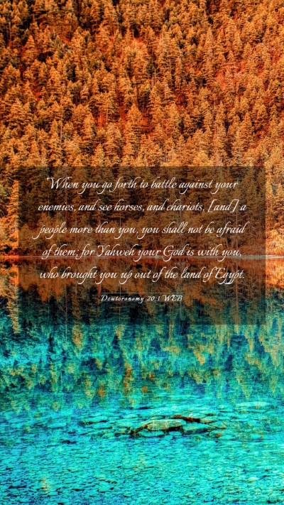 Picture 03 - Deuteronomy 20:1 WEB Mobile Phone Wallpaper - When you go forth to battle against your enemies, - Mobile Bible Verse Wallpaper