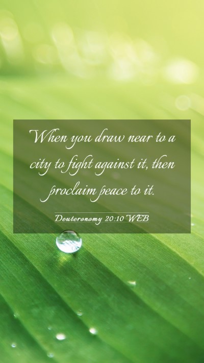Picture 03 - Deuteronomy 20:10 WEB Mobile Phone Wallpaper - When you draw near to a city to fight against it, - Mobile Bible Verse Wallpaper