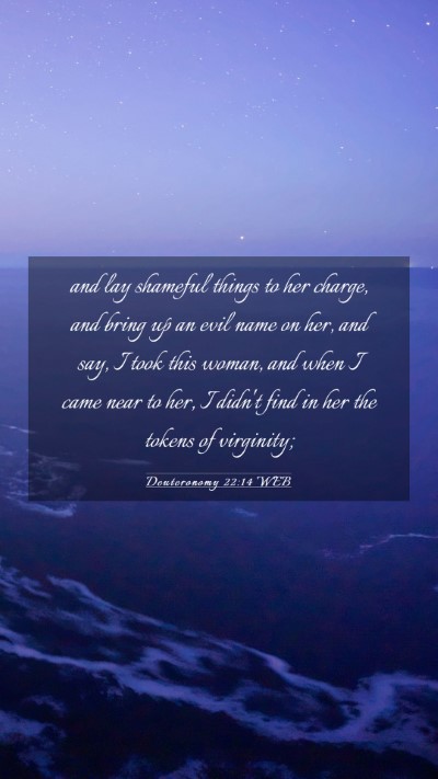 Picture 03 - Deuteronomy 22:14 WEB Mobile Phone Wallpaper - and lay shameful things to her charge, and bring - Mobile Bible Verse Wallpaper