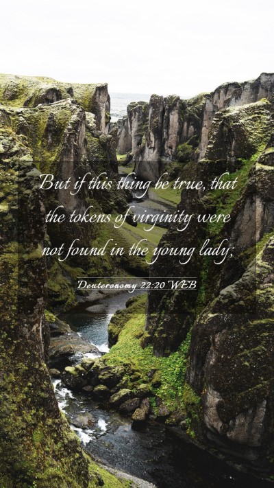 Picture 03 - Deuteronomy 22:20 WEB Mobile Phone Wallpaper - But if this thing be true, that the tokens of - Mobile Bible Verse Wallpaper