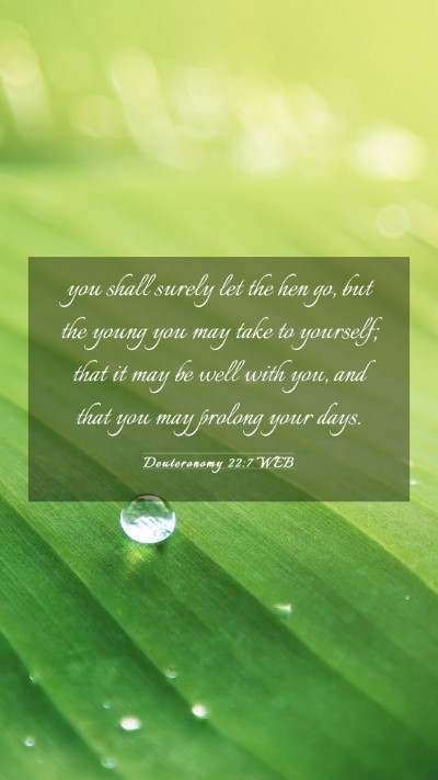 Picture 03 - Deuteronomy 22:7 WEB Mobile Phone Wallpaper - you shall surely let the hen go, but the young - Mobile Bible Verse Wallpaper