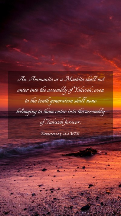 Picture 03 - Deuteronomy 23:3 WEB Mobile Phone Wallpaper - An Ammonite or a Moabite shall not enter into the - Mobile Bible Verse Wallpaper