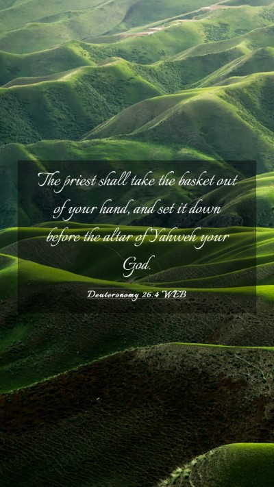 Picture 03 - Deuteronomy 26:4 WEB Mobile Phone Wallpaper - The priest shall take the basket out of your - Mobile Bible Verse Wallpaper