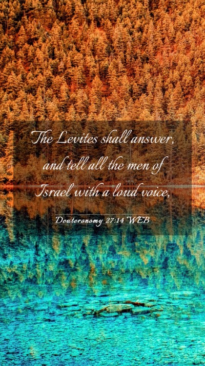 Picture 03 - Deuteronomy 27:14 WEB Mobile Phone Wallpaper - The Levites shall answer, and tell all the men of - Mobile Bible Verse Wallpaper