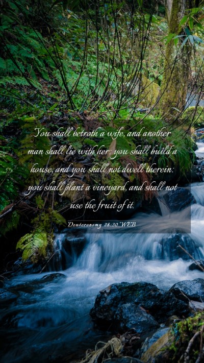 Picture 03 - Deuteronomy 28:30 WEB Mobile Phone Wallpaper - You shall betroth a wife, and another man shall - Mobile Bible Verse Wallpaper
