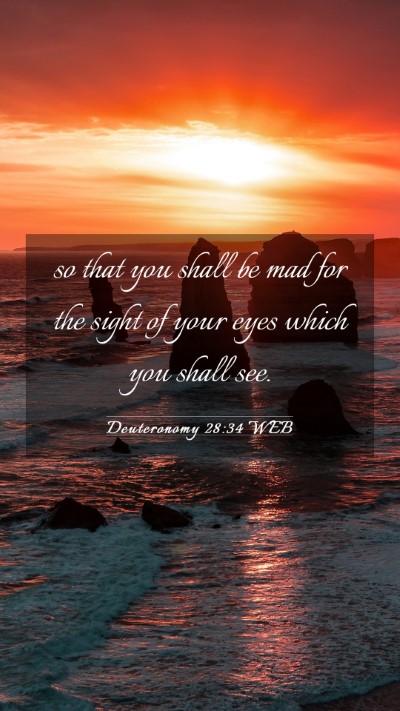 Picture 03 - Deuteronomy 28:34 WEB Mobile Phone Wallpaper - so that you shall be mad for the sight of your - Mobile Bible Verse Wallpaper