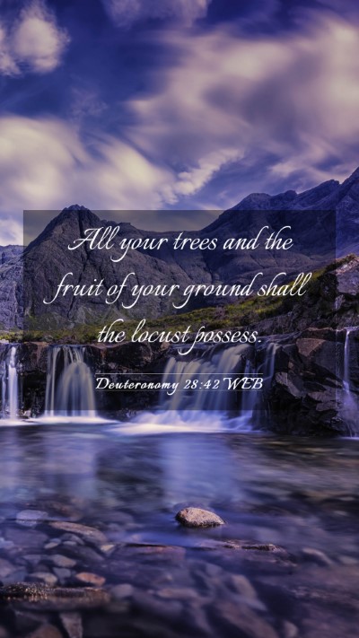Picture 03 - Deuteronomy 28:42 WEB Mobile Phone Wallpaper - All your trees and the fruit of your ground shall - Mobile Bible Verse Wallpaper