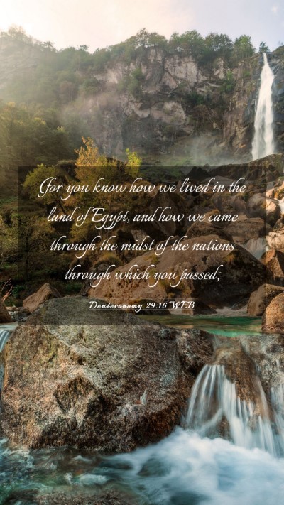 Picture 03 - Deuteronomy 29:16 WEB Mobile Phone Wallpaper - (for you know how we lived in the land of Egypt, - Mobile Bible Verse Wallpaper
