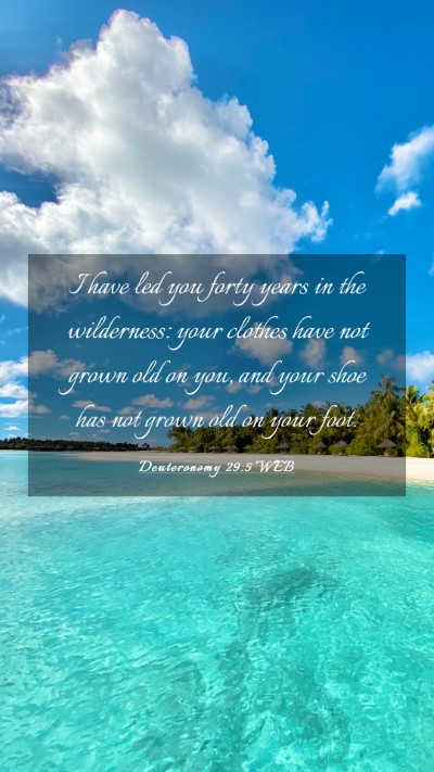 Picture 03 - Deuteronomy 29:5 WEB Mobile Phone Wallpaper - I have led you forty years in the wilderness: - Mobile Bible Verse Wallpaper