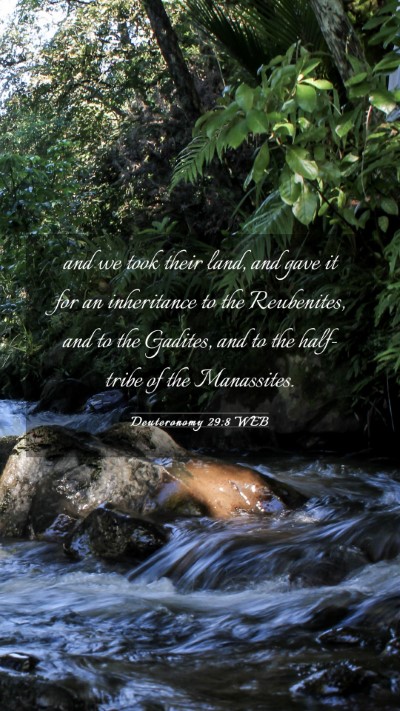 Picture 03 - Deuteronomy 29:8 WEB Mobile Phone Wallpaper - and we took their land, and gave it for an - Mobile Bible Verse Wallpaper