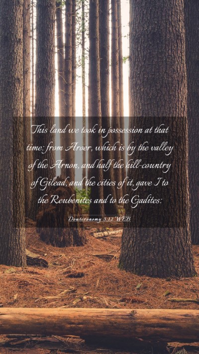 Picture 03 - Deuteronomy 3:12 WEB Mobile Phone Wallpaper - This land we took in possession at that time: - Mobile Bible Verse Wallpaper