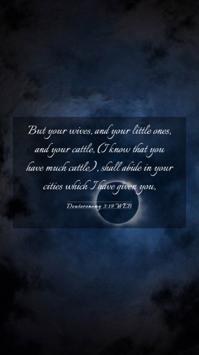 Picture 03 - Deuteronomy 3:19 WEB Mobile Phone Wallpaper - But your wives, and your little ones, and your - Mobile Bible Verse Wallpaper