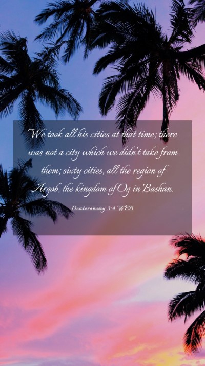 Picture 03 - Deuteronomy 3:4 WEB Mobile Phone Wallpaper - We took all his cities at that time; there was - Mobile Bible Verse Wallpaper