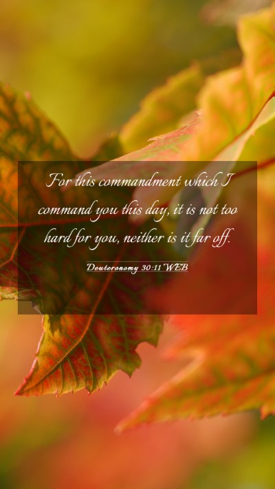 Picture 03 - Deuteronomy 30:11 WEB Mobile Phone Wallpaper - For this commandment which I command you this - Mobile Bible Verse Wallpaper