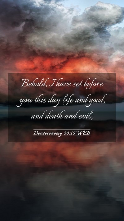 Picture 03 - Deuteronomy 30:15 WEB Mobile Phone Wallpaper - Behold, I have set before you this day life and - Mobile Bible Verse Wallpaper