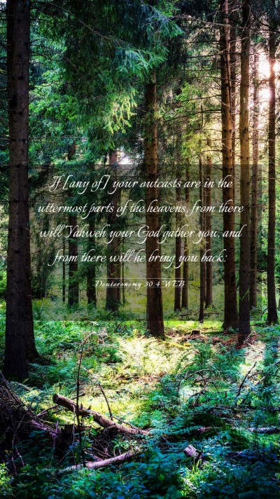 Picture 03 - Deuteronomy 30:4 WEB Mobile Phone Wallpaper - If [any of] your outcasts are in the uttermost - Mobile Bible Verse Wallpaper