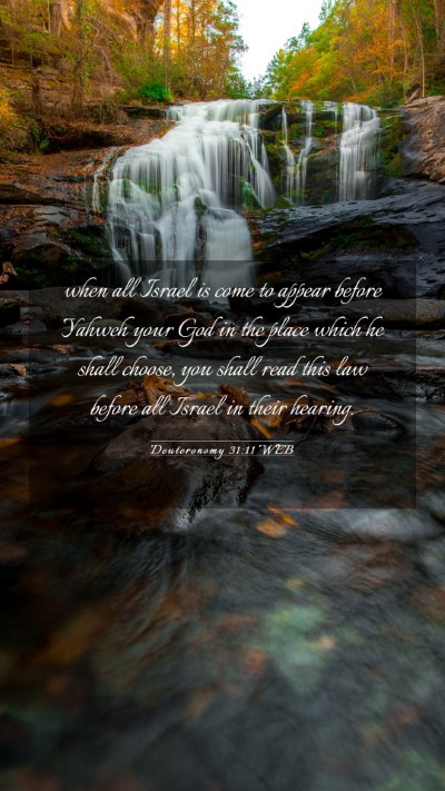 Picture 03 - Deuteronomy 31:11 WEB Mobile Phone Wallpaper - when all Israel is come to appear before Yahweh - Mobile Bible Verse Wallpaper