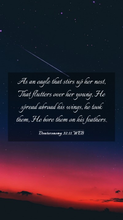 Picture 03 - Deuteronomy 32:11 WEB Mobile Phone Wallpaper - As an eagle that stirs up her nest, That flutters - Mobile Bible Verse Wallpaper