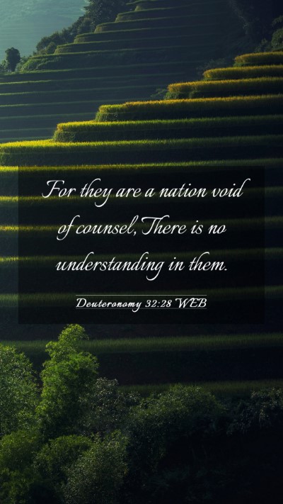 Picture 03 - Deuteronomy 32:28 WEB Mobile Phone Wallpaper - For they are a nation void of counsel, There is - Mobile Bible Verse Wallpaper