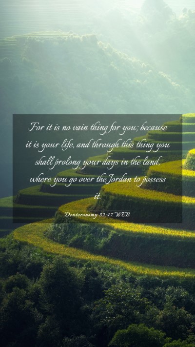 Picture 03 - Deuteronomy 32:47 WEB Mobile Phone Wallpaper - For it is no vain thing for you; because it is - Mobile Bible Verse Wallpaper