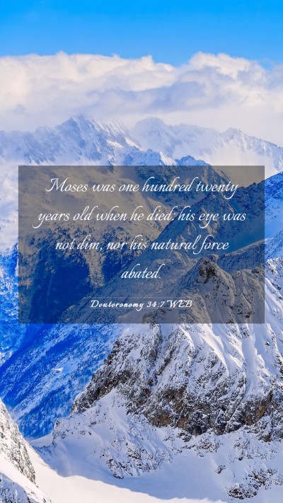 Picture 03 - Deuteronomy 34:7 WEB Mobile Phone Wallpaper - Moses was one hundred twenty years old when he - Mobile Bible Verse Wallpaper