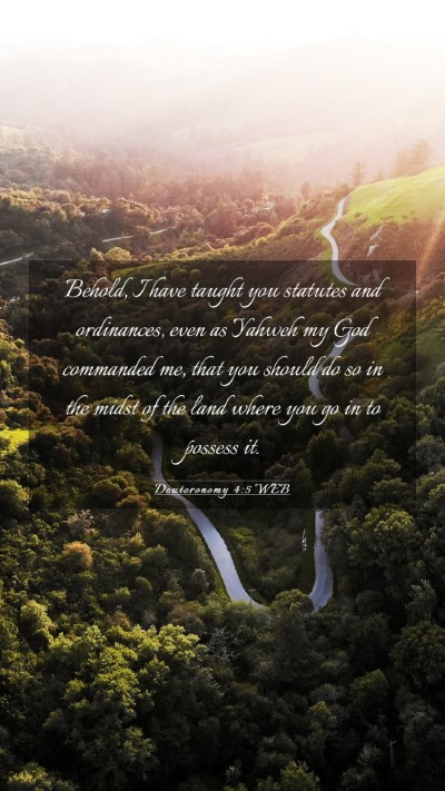 Picture 03 - Deuteronomy 4:5 WEB Mobile Phone Wallpaper - Behold, I have taught you statutes and - Mobile Bible Verse Wallpaper