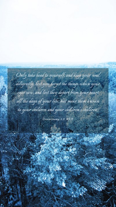 Picture 03 - Deuteronomy 4:9 WEB Mobile Phone Wallpaper - Only take heed to yourself, and keep your soul - Mobile Bible Verse Wallpaper