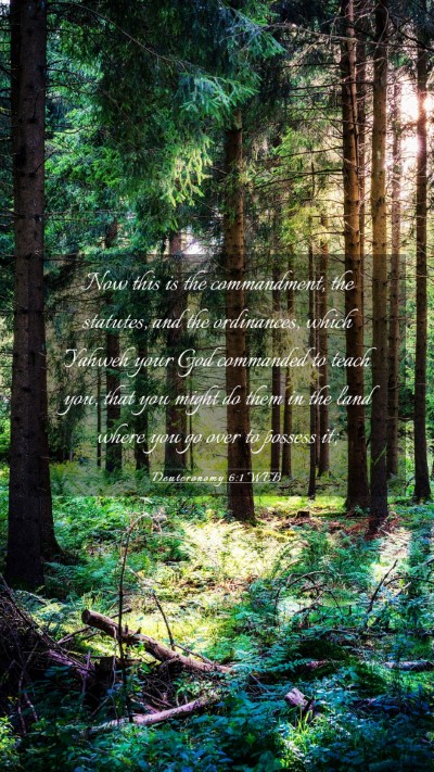 Picture 03 - Deuteronomy 6:1 WEB Mobile Phone Wallpaper - Now this is the commandment, the statutes, and - Mobile Bible Verse Wallpaper