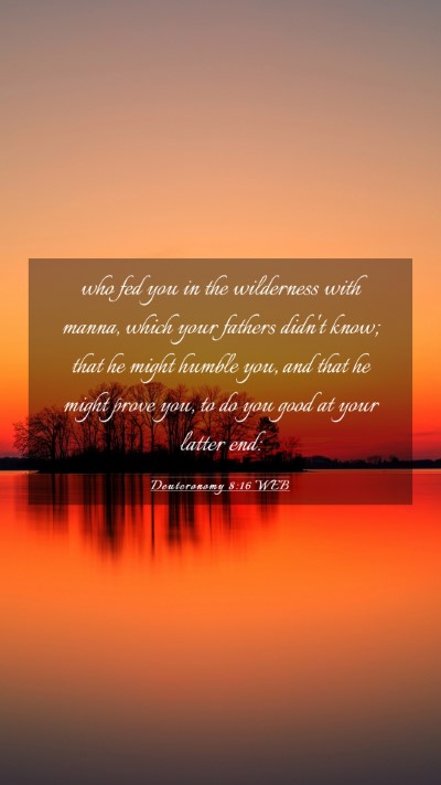 Picture 03 - Deuteronomy 8:16 WEB Mobile Phone Wallpaper - who fed you in the wilderness with manna, which - Mobile Bible Verse Wallpaper