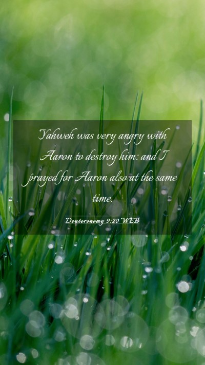 Picture 03 - Deuteronomy 9:20 WEB Mobile Phone Wallpaper - Yahweh was very angry with Aaron to destroy him: - Mobile Bible Verse Wallpaper