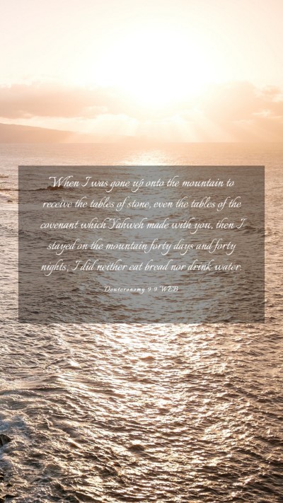 Picture 03 - Deuteronomy 9:9 WEB Mobile Phone Wallpaper - When I was gone up onto the mountain to receive - Mobile Bible Verse Wallpaper
