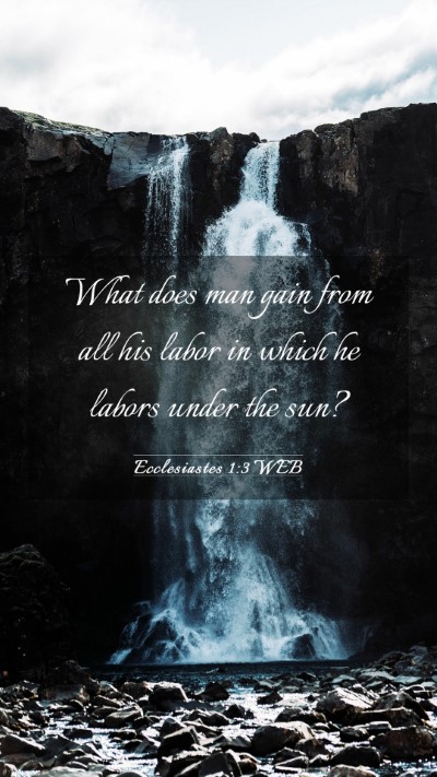 Picture 03 - Ecclesiastes 1:3 WEB Mobile Phone Wallpaper - What does man gain from all his labor in which he - Mobile Bible Verse Wallpaper