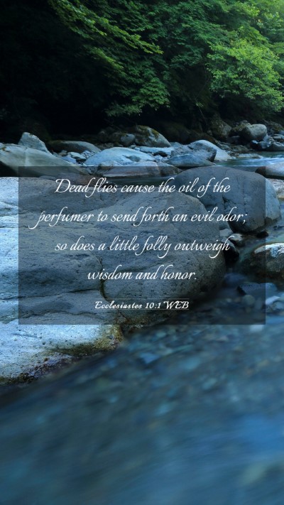 Picture 03 - Ecclesiastes 10:1 WEB Mobile Phone Wallpaper - Dead flies cause the oil of the perfumer to send - Mobile Bible Verse Wallpaper