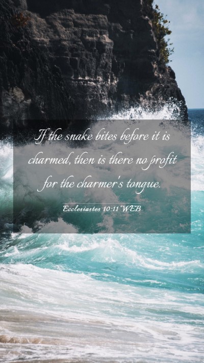 Picture 03 - Ecclesiastes 10:11 WEB Mobile Phone Wallpaper - If the snake bites before it is charmed, then is - Mobile Bible Verse Wallpaper