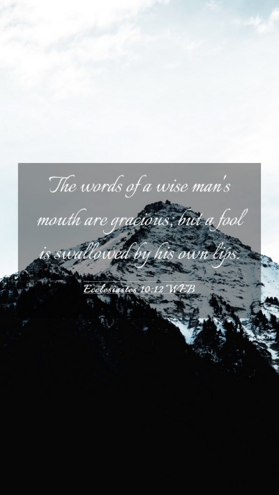 Picture 03 - Ecclesiastes 10:12 WEB Mobile Phone Wallpaper - The words of a wise man's mouth are gracious; but - Mobile Bible Verse Wallpaper