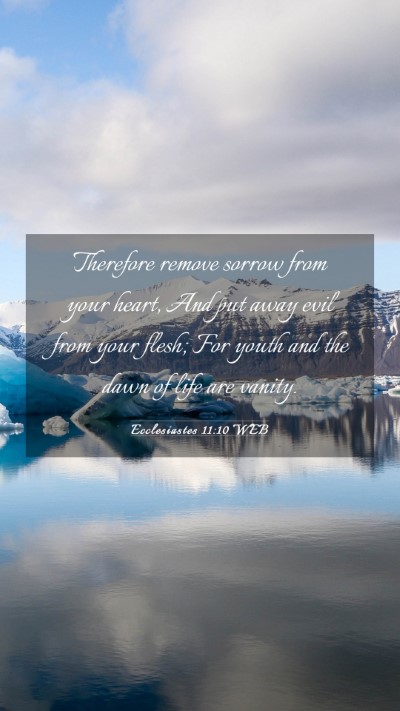 Picture 03 - Ecclesiastes 11:10 WEB Mobile Phone Wallpaper - Therefore remove sorrow from your heart, And put - Mobile Bible Verse Wallpaper