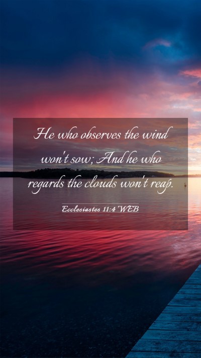 Picture 03 - Ecclesiastes 11:4 WEB Mobile Phone Wallpaper - He who observes the wind won't sow; And he who - Mobile Bible Verse Wallpaper