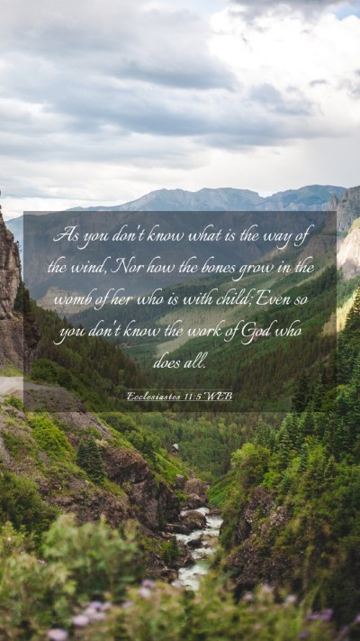 Picture 03 - Ecclesiastes 11:5 WEB Mobile Phone Wallpaper - As you don't know what is the way of the wind, - Mobile Bible Verse Wallpaper